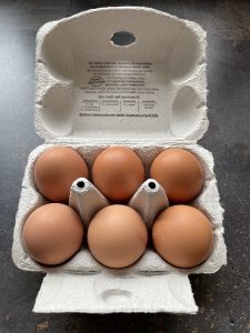 Eierkocher online kaufen
