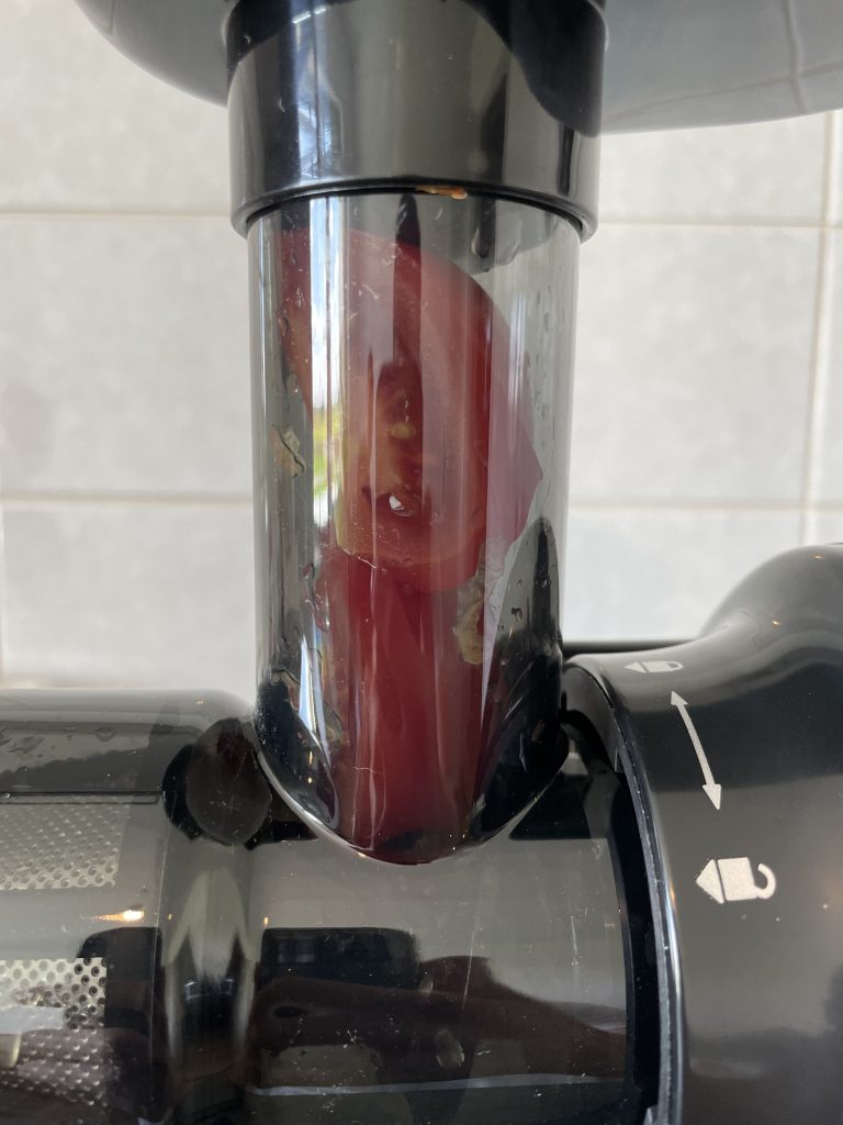 AMZCHEF Slow Juicer ZM1501 Entsafter mit Tomate
