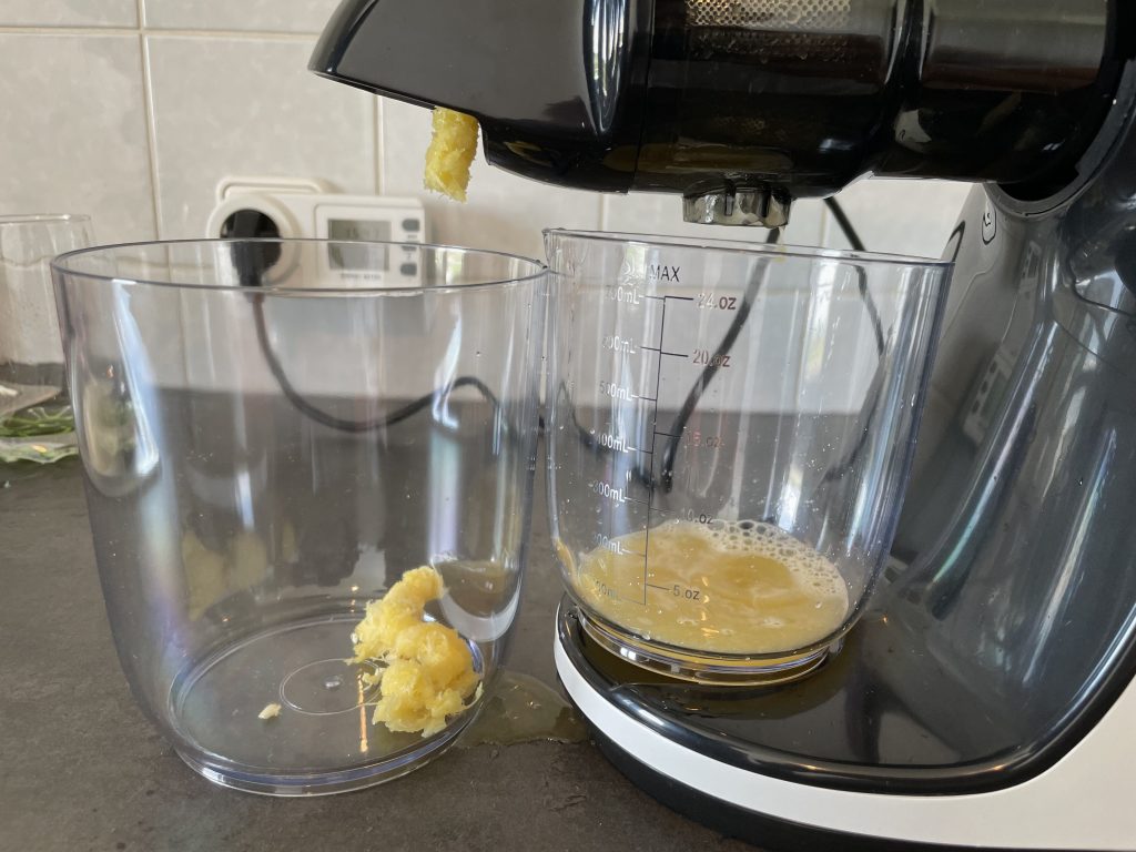AMZCHEF Slow Juicer ZM1501