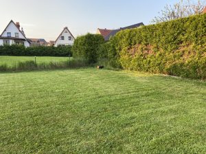 WORX Landroid M700 Plus WR167E Mähroboter Preisvergleich