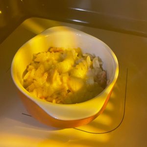 Severin Mikrowelle Grillfunktion zum Überbacken