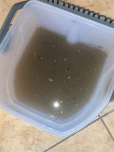 Wasserbehälter des Kärcher DS6 Premium Staubsauger nach dem Saugen