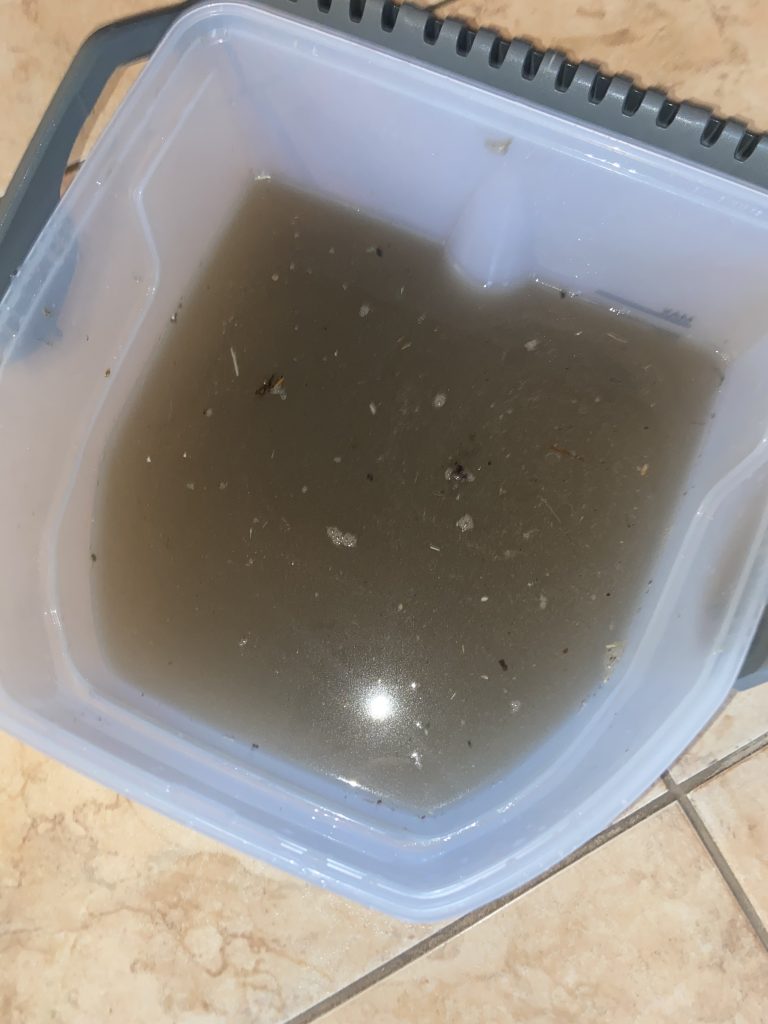 Wasserbehälter des Kärcher DS6 Premium Staubsauger nach dem Saugen