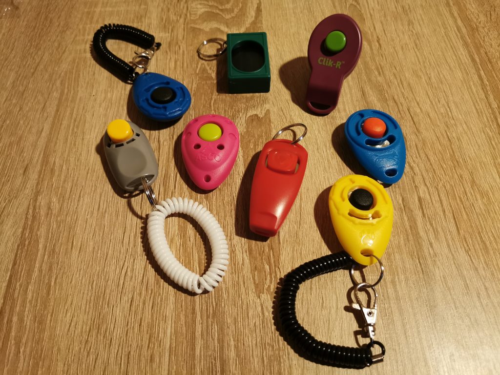 Clicker Test