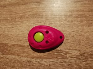 Asco Premium Clicker Ansicht von oben