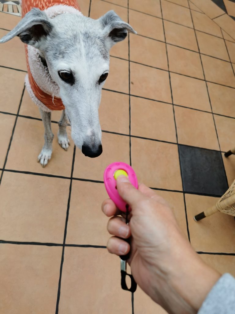 Asco Premium Clicker stehender Hund
