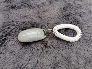 Big Buddy Profi Clicker Rückseite