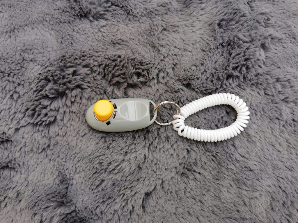 Big Buddy Profi Clicker Vorderansicht