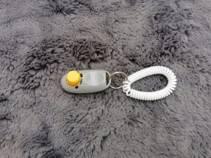 Big Buddy Profi Clicker Vorderansicht