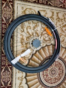 Eskute Polluno E-Bike Rad