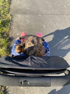 Hamilton by Yoop S1 Plus Kinderwagen im Test