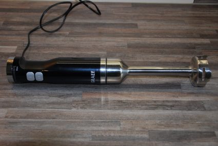 Stabmixer kaufen