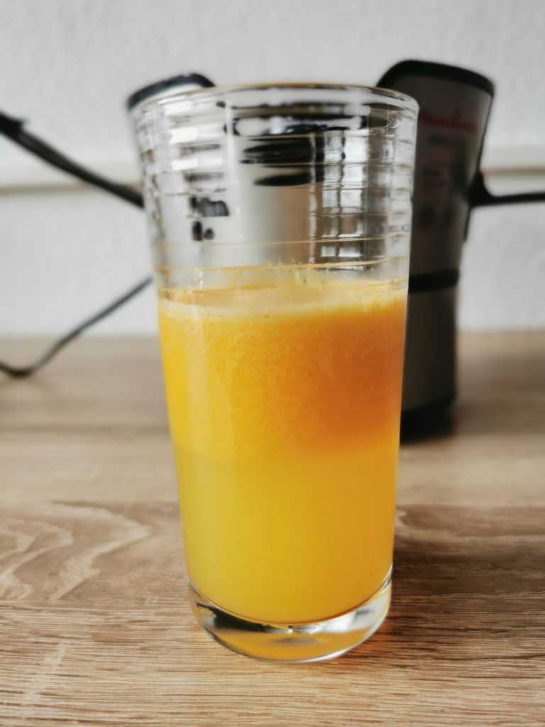 Moulinex JU385H Elea Duo Entsafter Orangensaft gesetzt