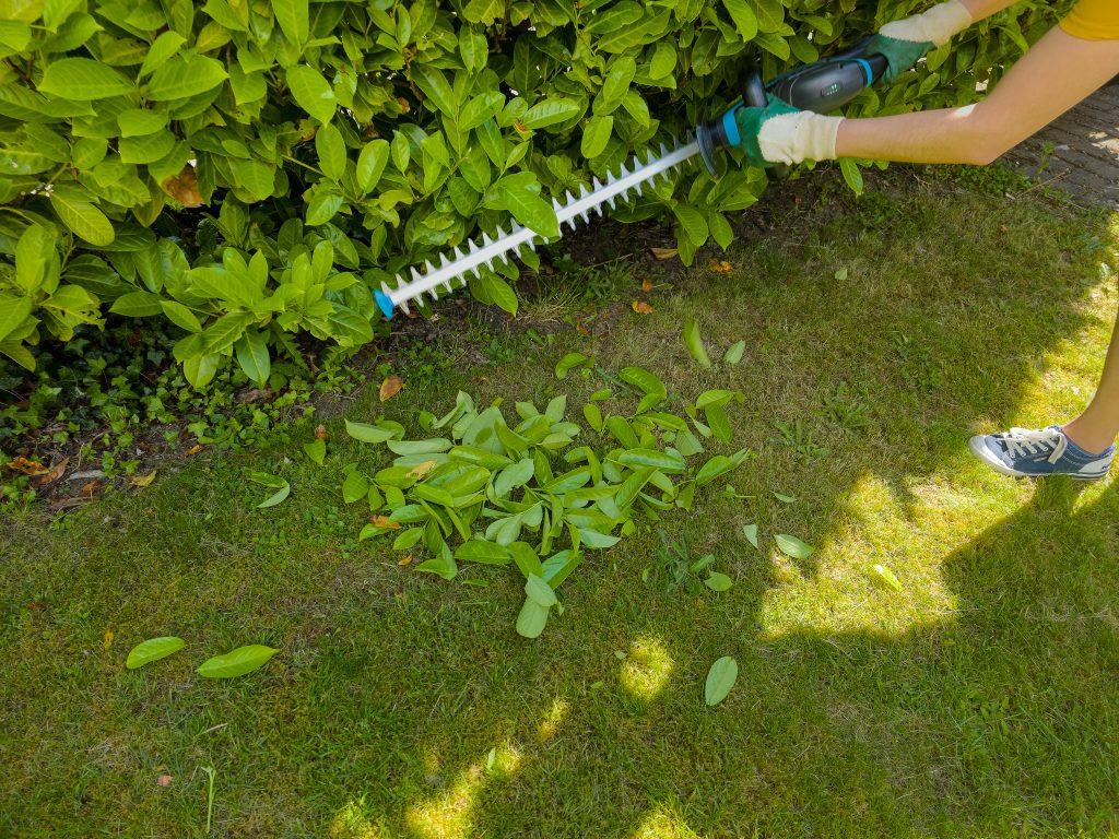 Gardena ComfortCut 60 18V-P4A Ready-To-Use Set Akku-Heckenschere Test