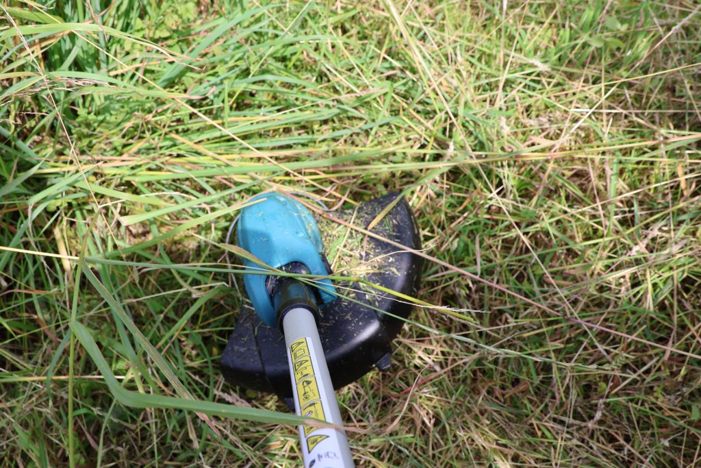 Makita DUR181RF Akku-Rasentrimmer im Einsatz