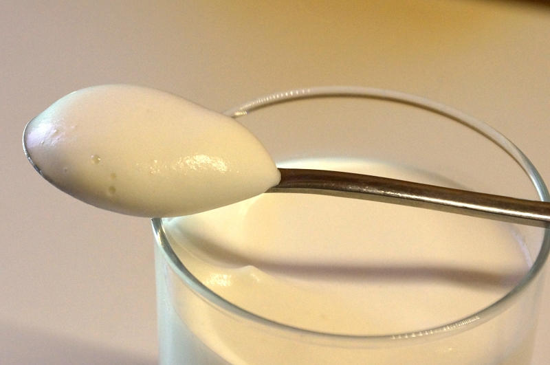 Bodum Latteo cremig-sahniger kalter Milchschaum