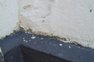 Bosch Aquatak 130 Hochdruckreiniger Fassade nach der Reinigung
