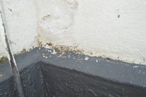 Bosch Aquatak 130 Hochdruckreiniger Fassade vor der Reinigung