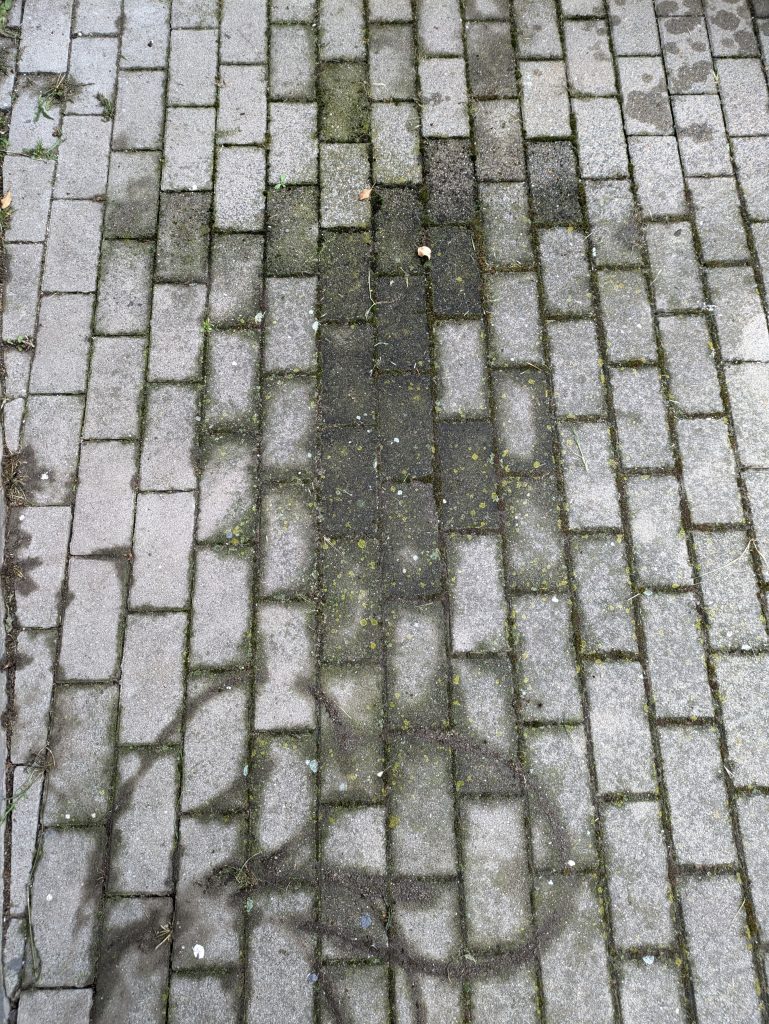 Eziclean® Hydroforce 165 Hochdruckreiniger Gehweg vor der Reinigung