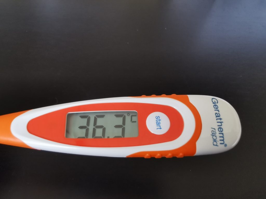 Geratherm rapid Fieberthermometer Messung 1