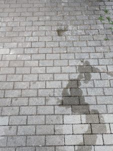 Kränzle K 1050 TS Hochdruckreiniger Gehweg vor der Reinigung
