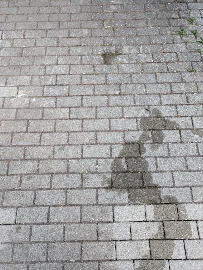 Kränzle K 1050 TS Hochdruckreiniger Gehweg vor der Reinigung