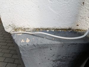 Nilfisk E 145.4-9 X-TRA PAD Hochdruckreiniger Fassade vor der Reinigung