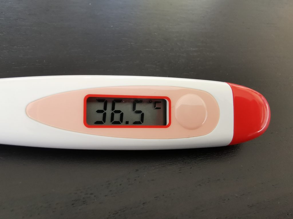 Scala SC 17 Fieberthermometer Messung 2