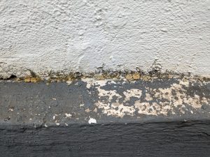 Scheppach HCE 1650 Hochdruckreiniger Fassade vor der Reinigung