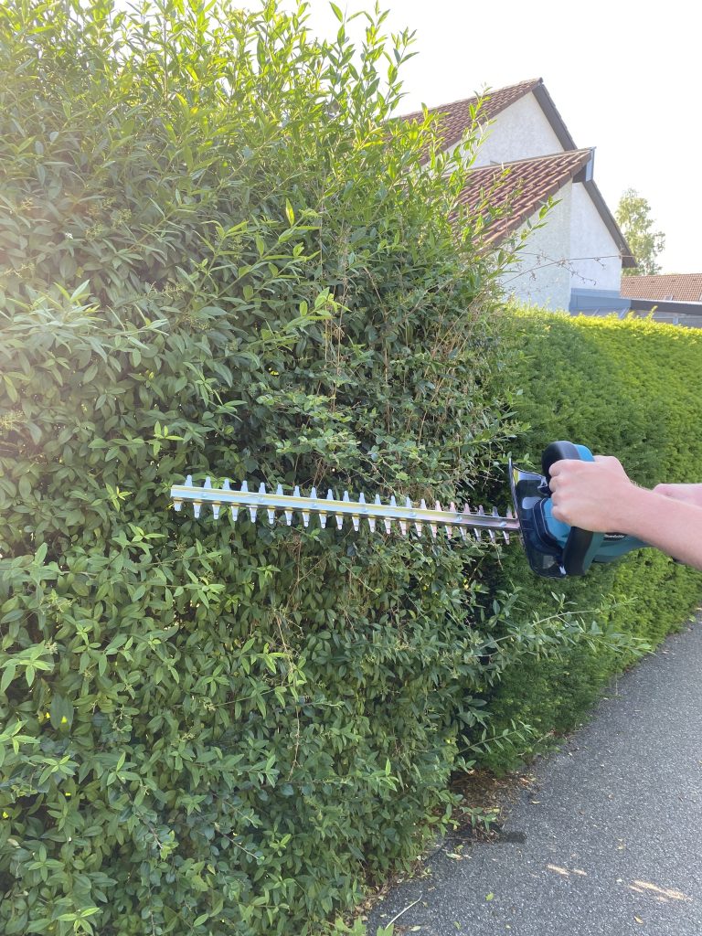 Makita DUH523RF Akku-Heckenschere Hecke schneiden 1