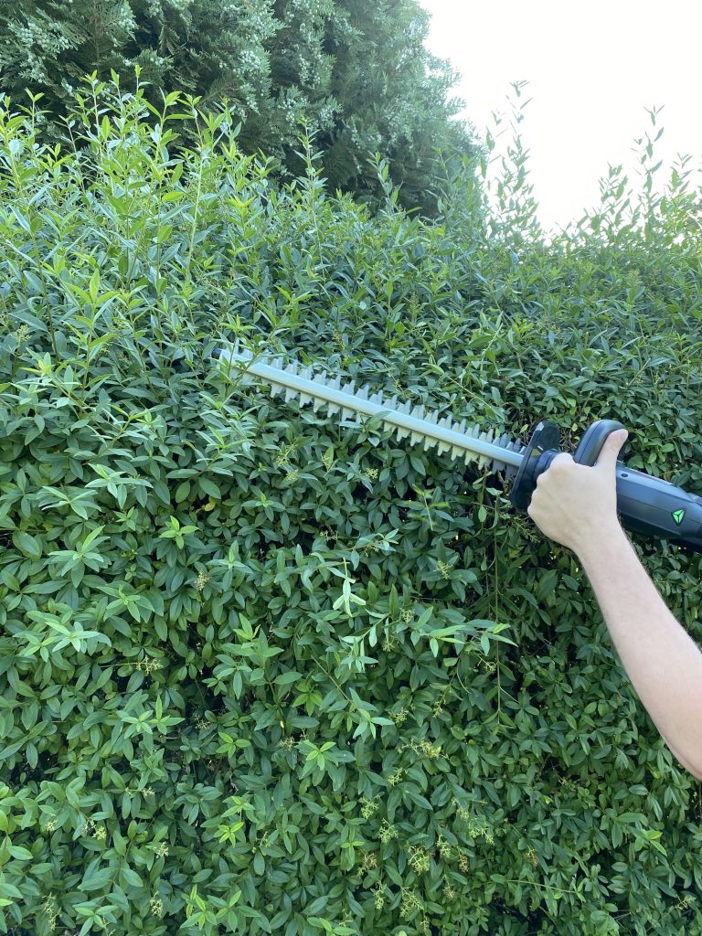 AL-KO HT 1845 Akku-Heckenschere Hecke schneiden 2