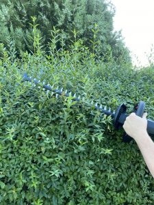 Bosch Universal Hedge Cut 18-55 Akku-Heckenschere Hecke schneiden 2
