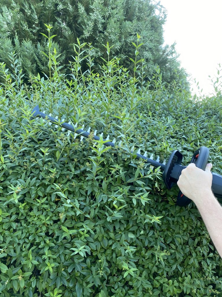 Bosch Universal Hedge Cut 18-55 Akku-Heckenschere Hecke schneiden 2