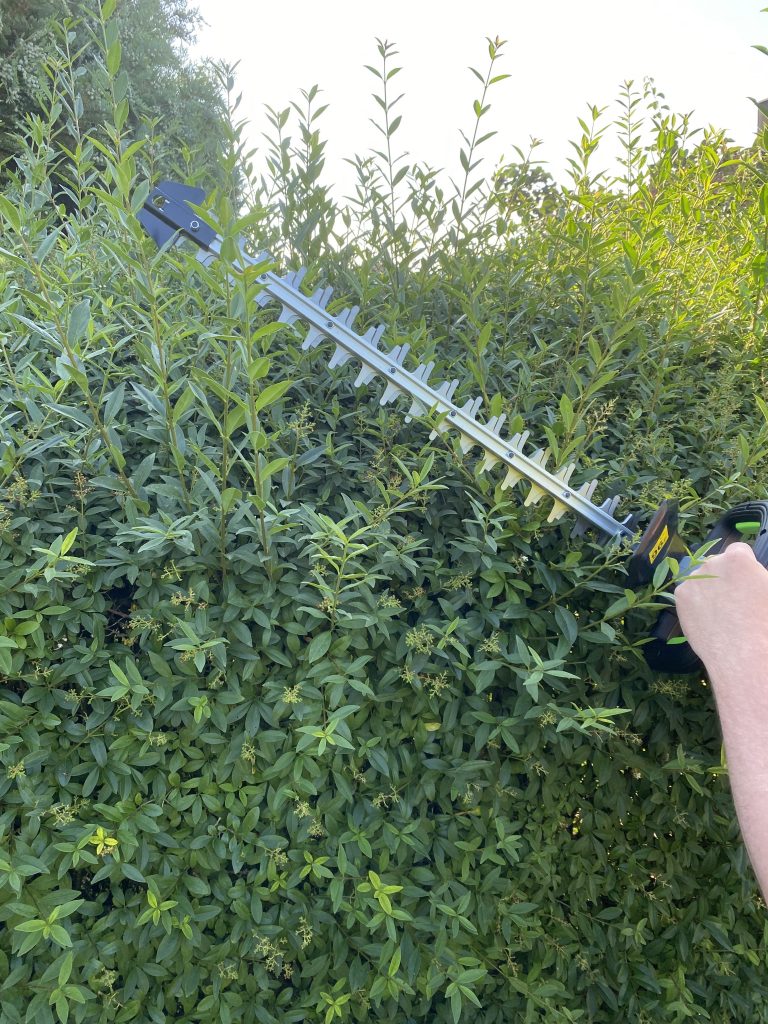 EGO HT2410E Akku-Heckenschere Hecke schneiden 2