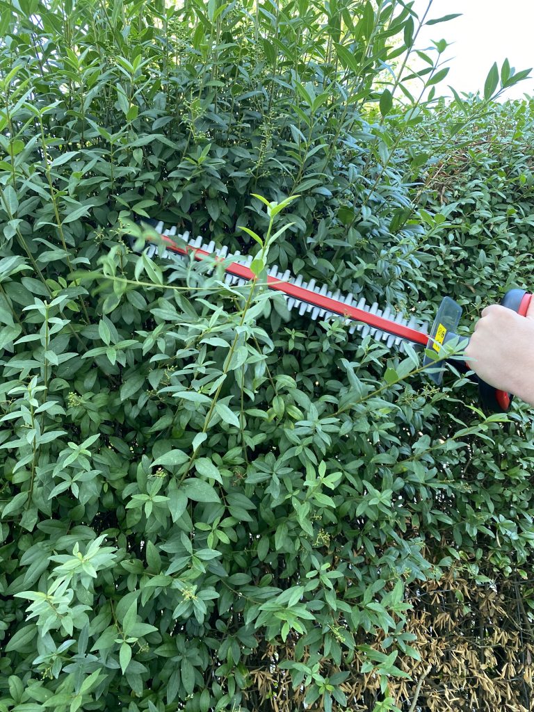 Einhell GE-CH 1846 Li Akku-Heckenschere Hecke schneiden 2