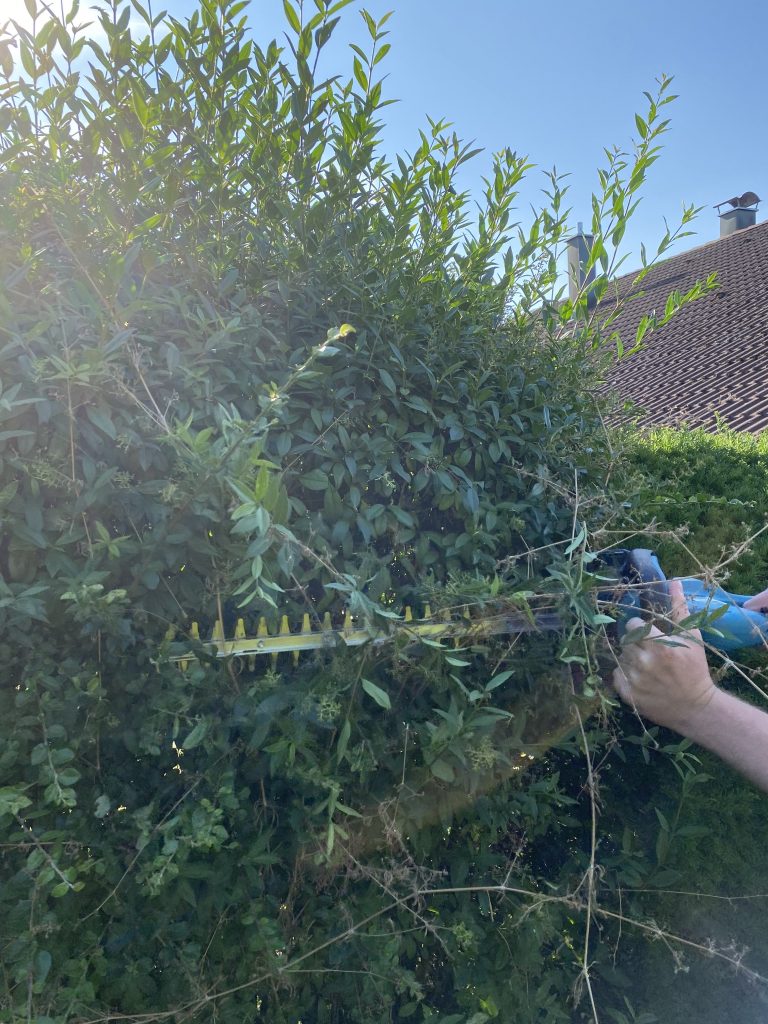 Makita DUH523RF Akku-Heckenschere Hecke schneiden 2