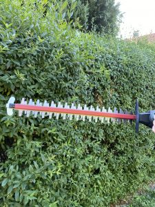 Metabo HS 18 LTX 55 Akku-Heckenschere Hecke schneiden 1