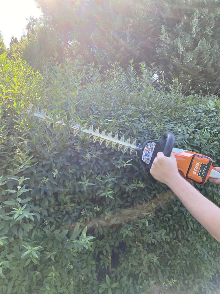 Stihl HSA 50 Akku-Heckenschere Hecke schneiden 2