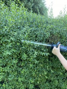 AL-KO HT 1845 Akku-Heckenschere Hecke schneiden 3