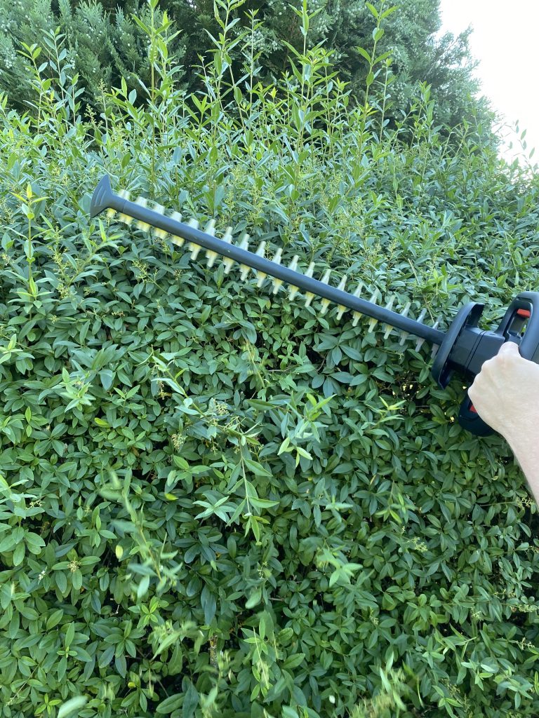 Bosch Universal Hedge Cut 18-55 Akku-Heckenschere Hecke schneiden 3