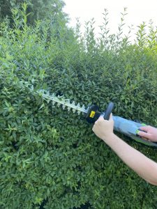 EGO HT2410E Akku-Heckenschere Hecke schneiden 3