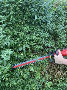 Einhell GE-CH 1846 Li Akku-Heckenschere Hecke schneiden 3