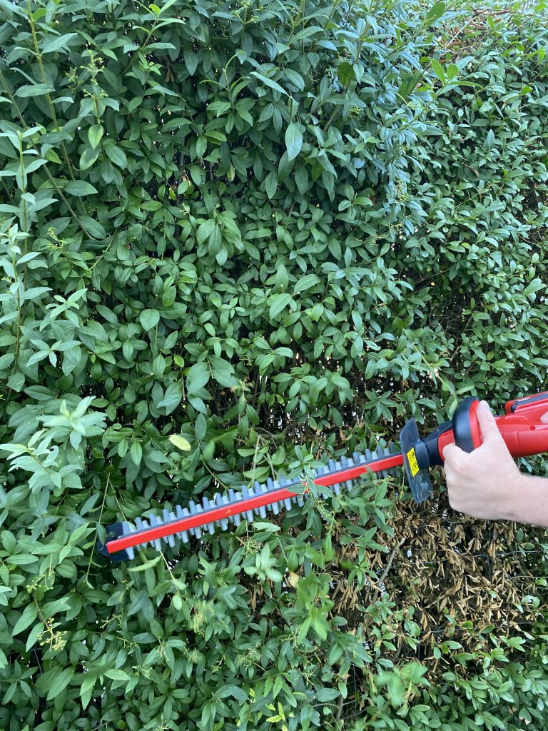 Einhell GE-CH 1846 Li Akku-Heckenschere Hecke schneiden 3