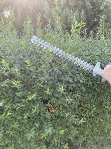 IKRA IAHS 20-1 Akku-Heckenschere Hecke schneiden 2