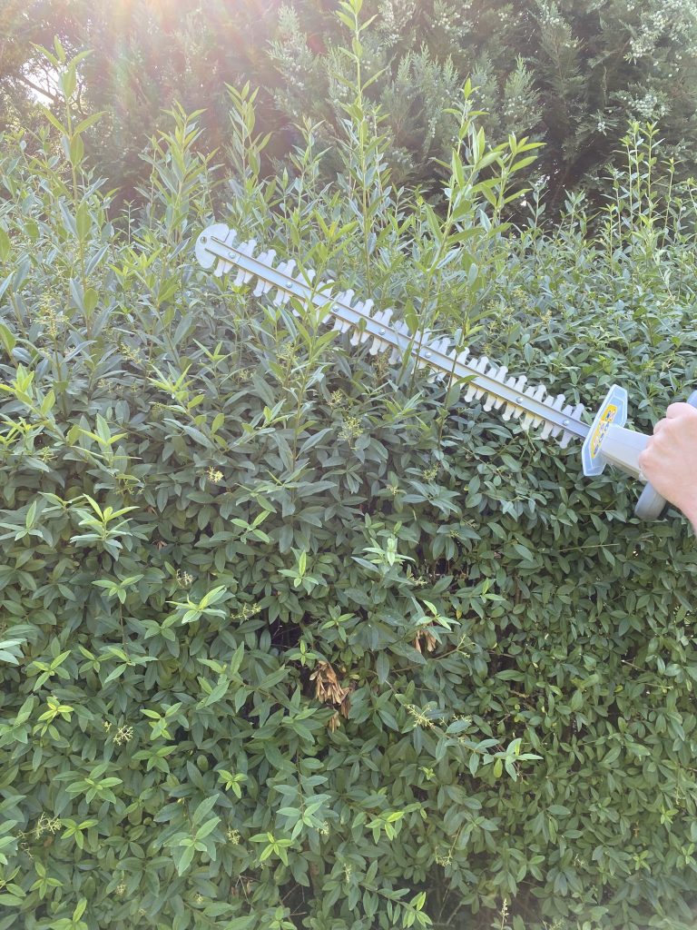 IKRA IAHS 20-1 Akku-Heckenschere Hecke schneiden 2