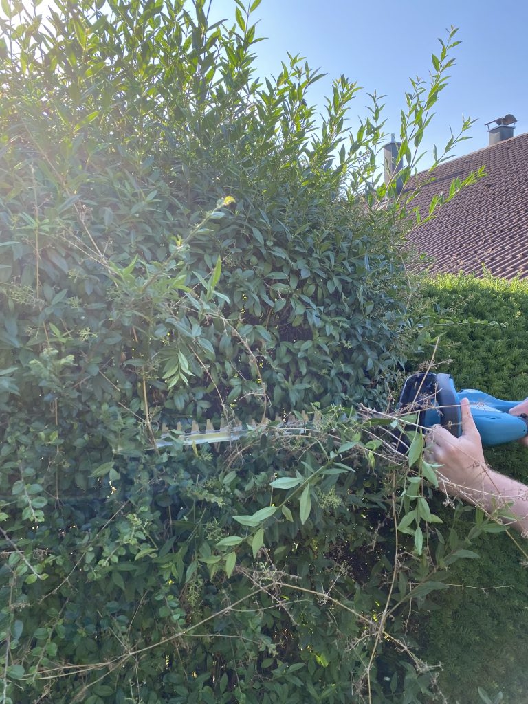 Makita DUH523RF Akku-Heckenschere Hecke schneiden 3