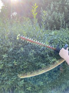 Metabo HS 18 LTX 55 Akku-Heckenschere Hecke schneiden 2