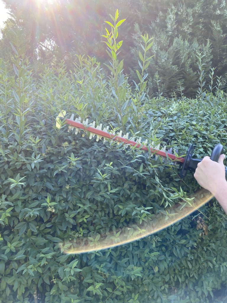 Metabo HS 18 LTX 55 Akku-Heckenschere Hecke schneiden 2