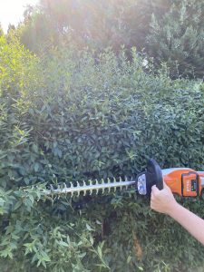 Stihl HSA 50 Akku-Heckenschere Hecke schneiden 3