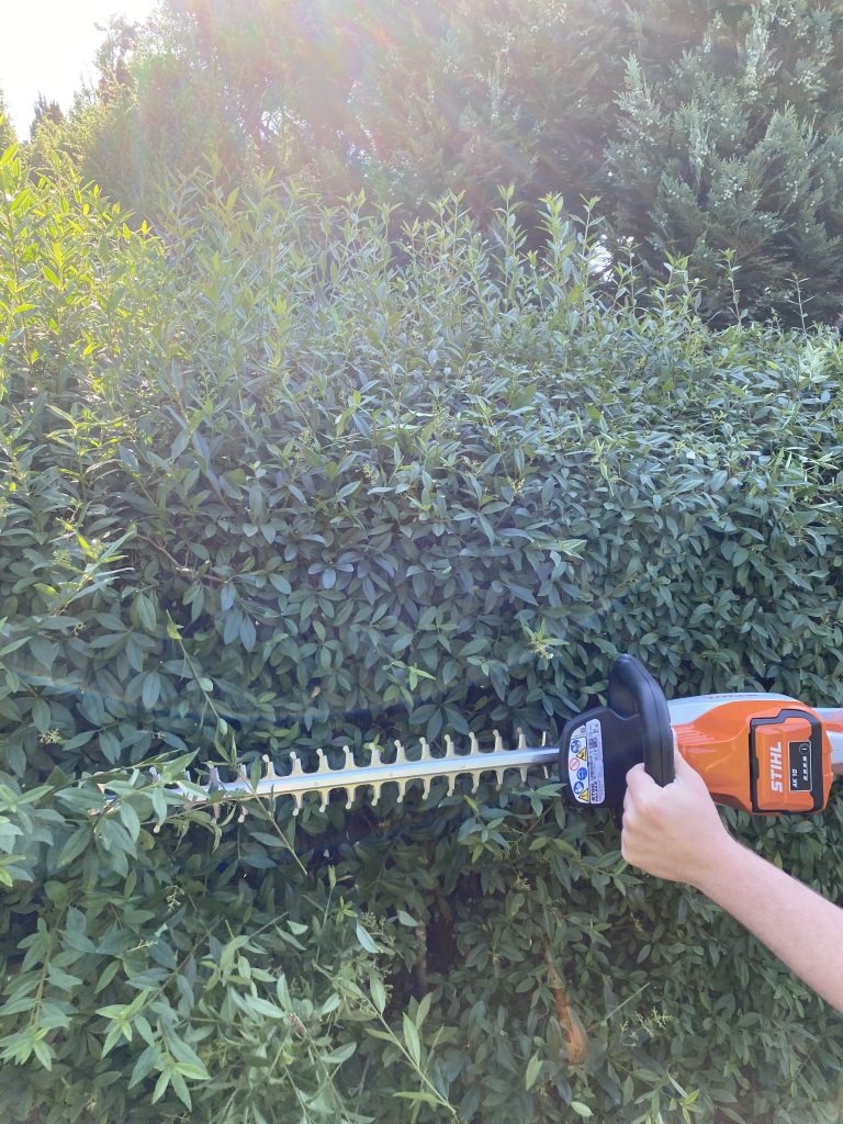 Stihl HSA 50 Akku-Heckenschere Hecke schneiden 3